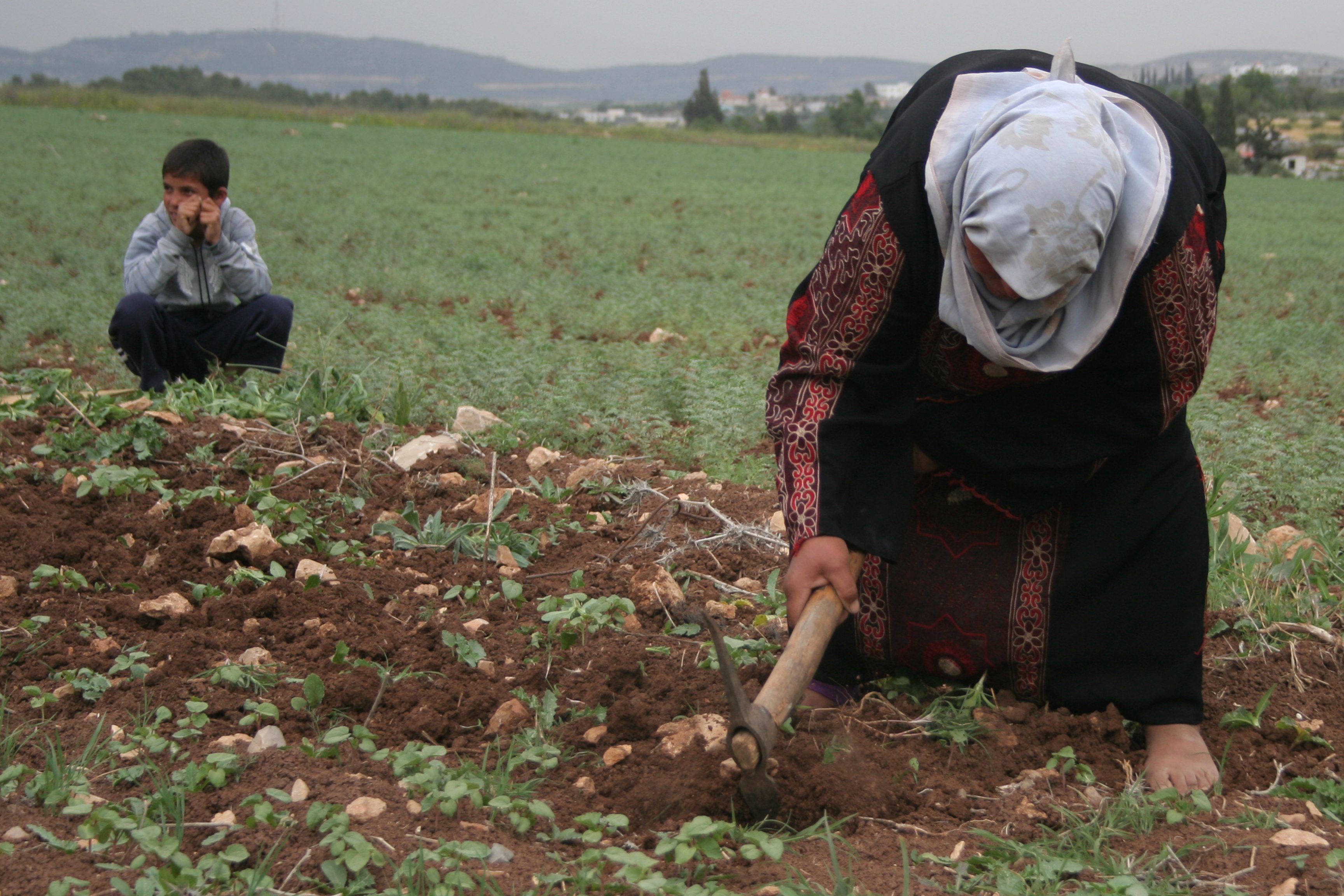 يوم المرأة الفلسطينية العربية