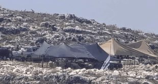مستوطنون ينصبون خياما في نعلين غرب رام الله