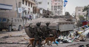الأورومتوسطي : استخدام جيش الاحتلال الكلاب في الاعتداءات ممنهج