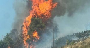 حريق كبير يمتد إلى معسكر الاحتلال في غوش عتصيون شمال الخليل