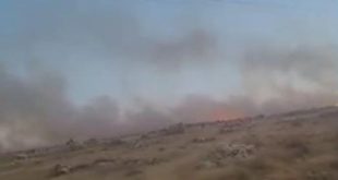 منظمة البيدر: مستوطنون يشعلون النيران في أراضي رعوية قرب تجمع عرب المليحات
