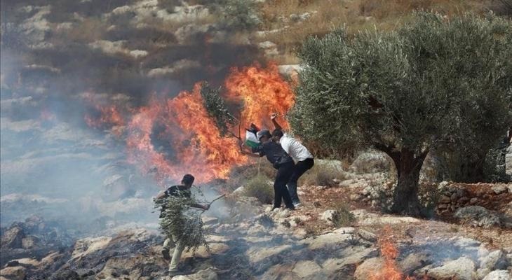 مستوطنون يُحرقون أراضٍ فلسطينية بالجانية غرب رام الله