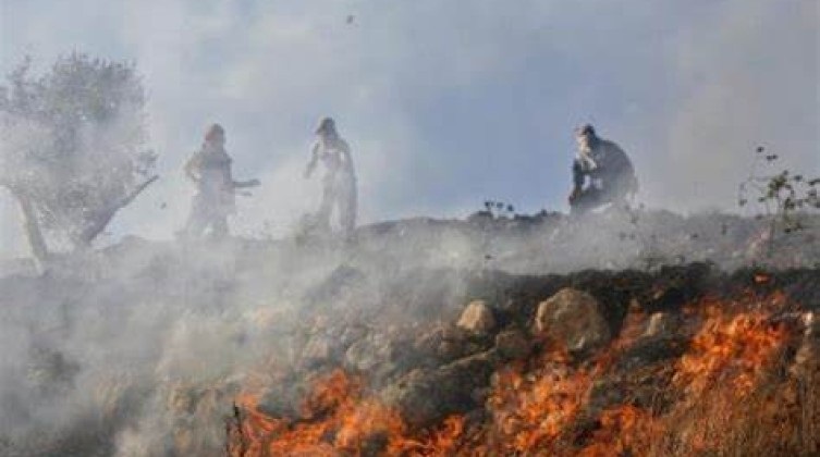 مستوطنون يحرقون بركسا للأغنام شمال غرب أريحا