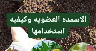 الاسمدة العضوية و طرق استعمالها واهميتها للتربة