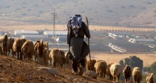 البيدر : الاحتلال يُسيطر على الأراضي الفلسطينية عبر الاستيطان الرعوي