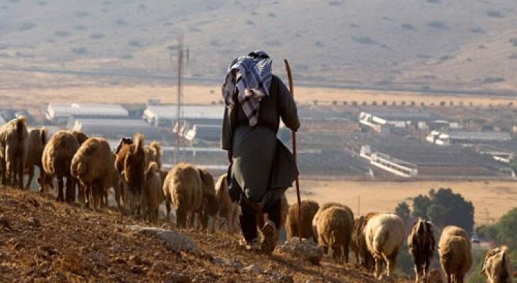 البيدر : الاحتلال يُسيطر على الأراضي الفلسطينية عبر الاستيطان الرعوي